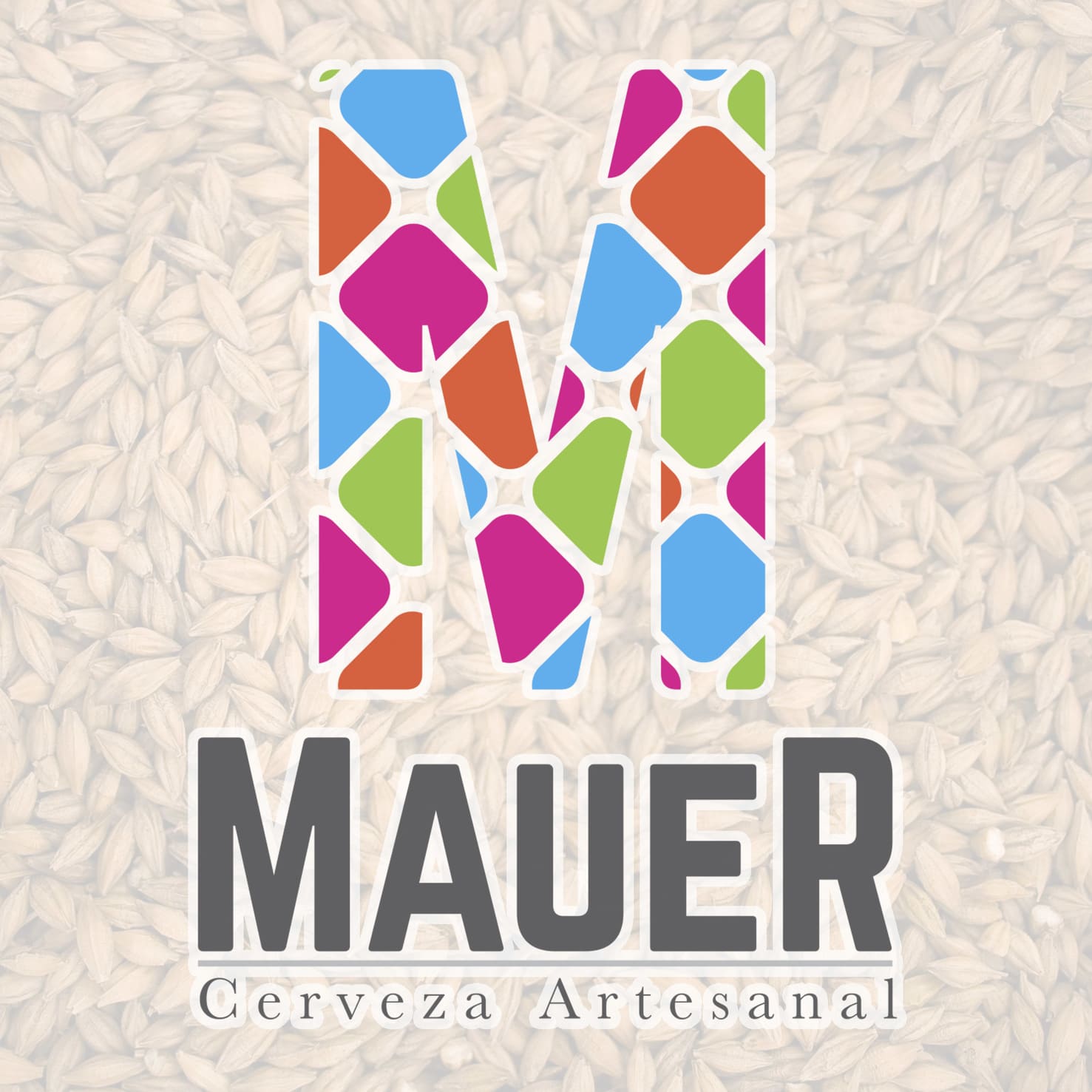 Cata Maridaje Cerveza MAUER